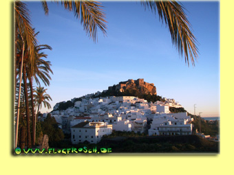 Blick von Monte de los Almendros auf Saobrena